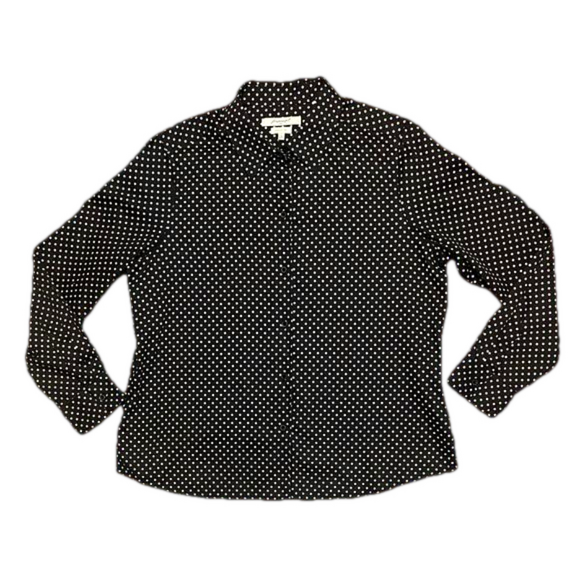 Foxcroft Tops - Foxcroft Wrinkle Free Shaped Fit Button Up Shirt
